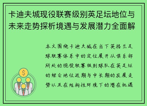 卡迪夫城现役联赛级别英足坛地位与未来走势探析境遇与发展潜力全面解码 卡迪夫城现役联赛级别英足坛地位与未来走势探析境遇与发展潜力全面解码